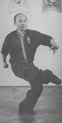 sifu Y.C. Wong, Lauga kyun